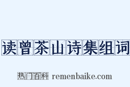 读曾茶山诗集组词是什么意思的图片